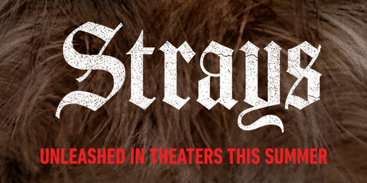 Strays – An R-Rated Dog Comedy With Will Ferrell? [Trailer]