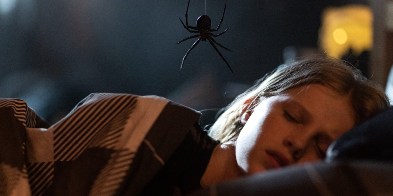Sting: Watch Out, Arachnophobes [Trailer]